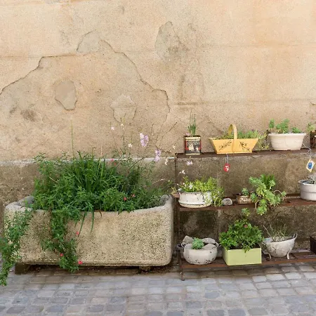 Near The River In Minervois Holiday home