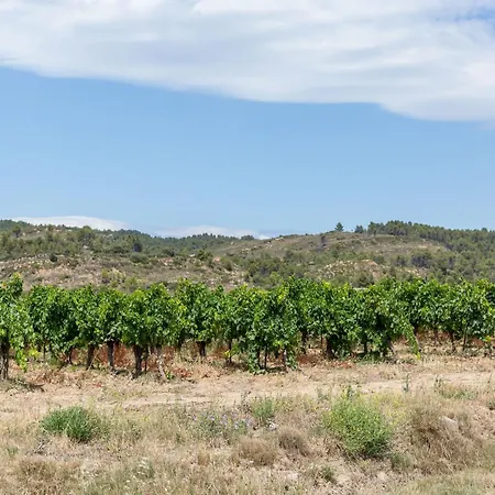 Holiday home Near The River In Minervois Bize-Minervois